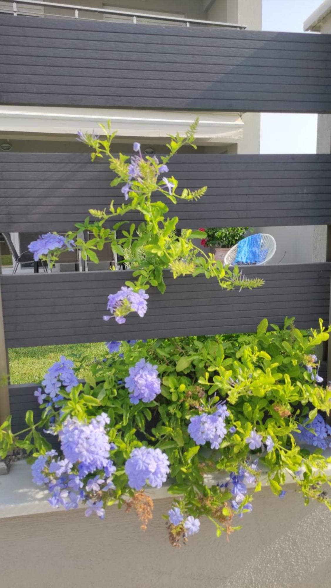To Helidoni Apartment & Gardens Nikiti  Esterno foto